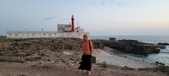 Enlarge photo 245