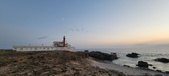 Enlarge photo 254