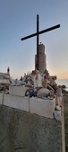 Enlarge photo 273