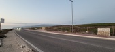 Enlarge photo 297