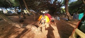 Enlarge photo 301