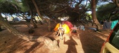 Enlarge photo 302