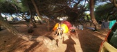Enlarge photo 303