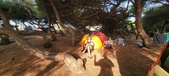 Enlarge photo 304