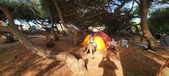 Enlarge photo 305