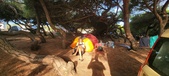 Enlarge photo 306