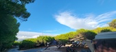 Enlarge photo 309