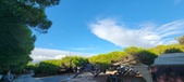 Enlarge photo 310