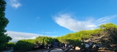 Enlarge photo 311