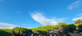Enlarge photo 312