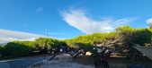 Enlarge photo 313