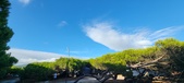 Enlarge photo 315
