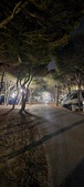 Enlarge photo 324