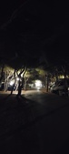 Enlarge photo 326