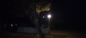 Enlarge photo 334