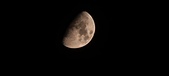 Enlarge photo 339