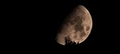 Enlarge photo 343