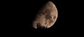 Enlarge photo 344