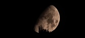 Enlarge photo 345