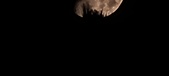 Enlarge photo 346