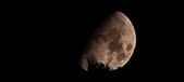 Enlarge photo 347