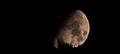 Enlarge photo 349