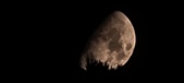 Enlarge photo 350