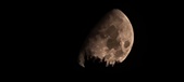 Enlarge photo 351