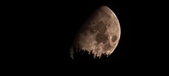 Enlarge photo 352