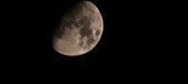 Enlarge photo 362