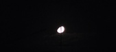 Enlarge photo 372
