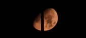 Enlarge photo 376