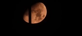 Enlarge photo 379