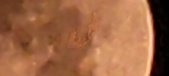 Enlarge photo 380