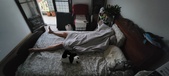 Enlarge photo 382