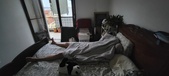 Enlarge photo 386