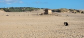 Enlarge photo 434