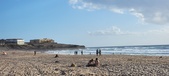Enlarge photo 436