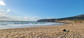 Enlarge photo 439