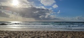 Enlarge photo 446