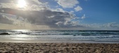 Enlarge photo 447