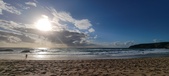 Enlarge photo 449