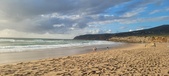 Enlarge photo 453