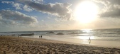 Enlarge photo 455