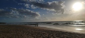 Enlarge photo 459