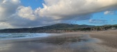 Enlarge photo 460