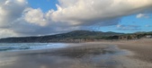 Enlarge photo 461