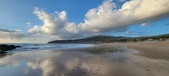Enlarge photo 463