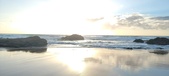 Enlarge photo 470