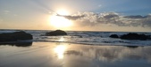 Enlarge photo 473